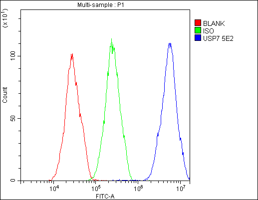 1 - Anti-HAUSP/USP7 Antibody Picoband™ (monoclonal, 5E2) ABO14847