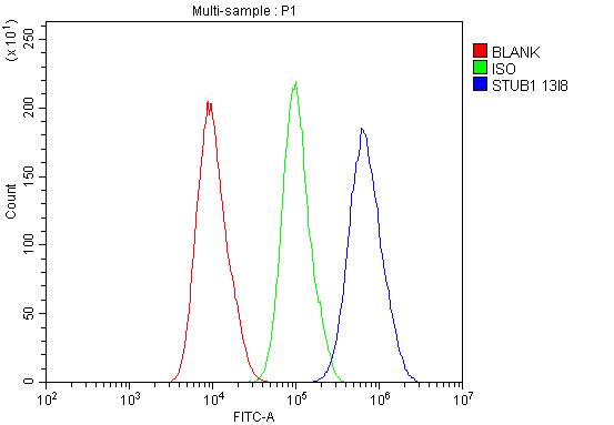 1 - Anti-STUB1 Antibody Picoband™ (monoclonal, 13I8) ABO14848