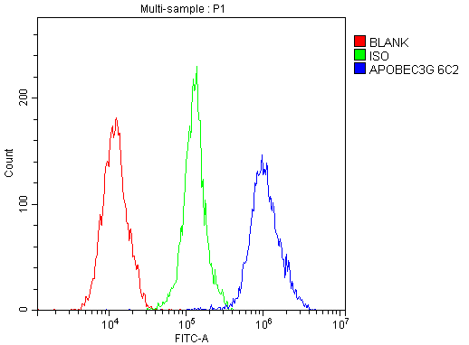 1 - Anti-APOBEC3G Antibody Picoband™ (monoclonal, 6C2) ABO14849