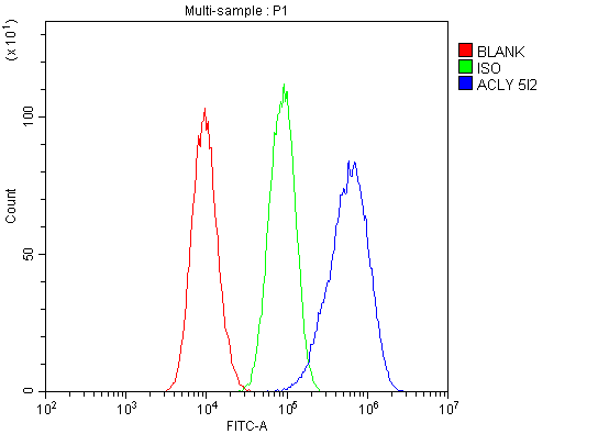1 - Anti-ATP citrate lyase ACLY Antibody Picoband™ (monoclonal, 5I2) ABO14851