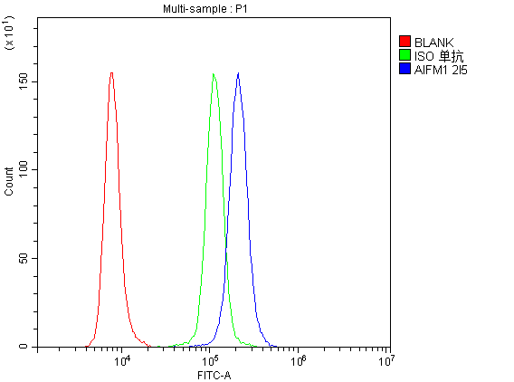 3 - Anti-AIF/AIFM1 Antibody Picoband™ (monoclonal, 2I5) ABO14853