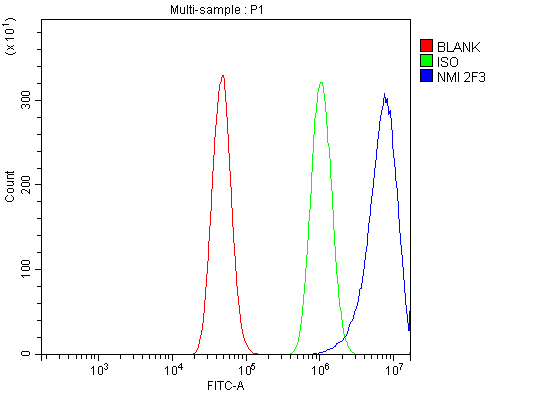 1 - Anti-NMI Antibody Picoband™ (monoclonal, 2F3) ABO14854