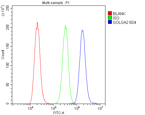 1 - Anti-GM130 GOLGA2 Antibody Picoband™ (monoclonal, 6D4) ABO14855