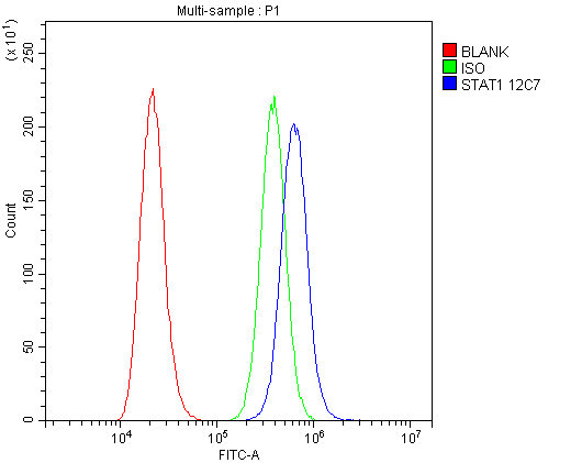 1 - Anti-STAT1 Antibody Picoband™ (monoclonal, 12C7) ABO14857