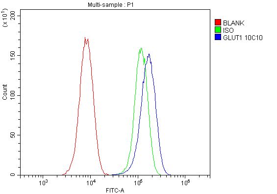 1 - Anti-SLC2A1 Antibody Picoband™ (monoclonal, 10C10) ABO14859