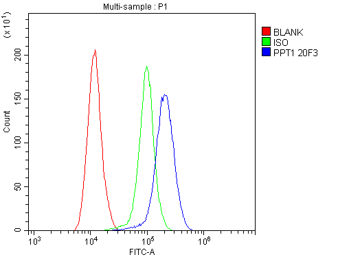 1 - Anti-PPT1 Antibody Picoband™ (monoclonal, 10F3) ABO14860