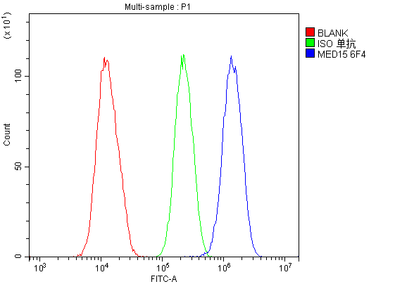 1 - Anti-MED15 Antibody Picoband™ (monoclonal, 6F4) ABO14861