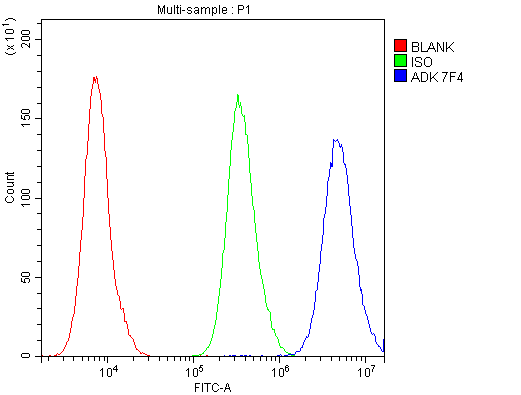 1 - Anti-ADK Antibody Picoband™ (monoclonal, 7F4) ABO14863
