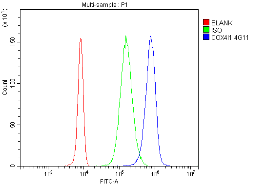 1 - Anti-COX IV COX4I1 Antibody Picoband™ (monoclonal, 4G11) ABO14864