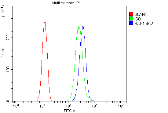 1 - Anti-BAK/BAK1 Antibody Picoband™ (monoclonal, 4C2) ABO14868