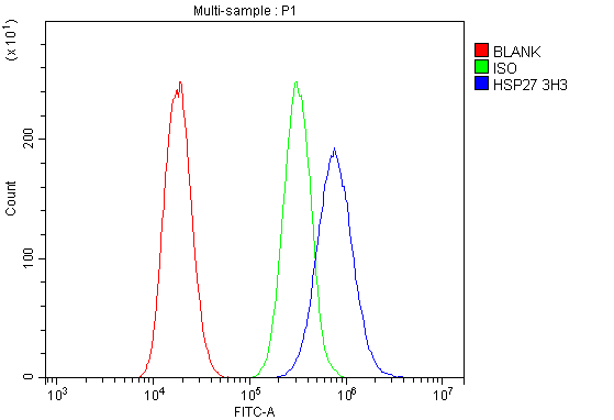 1 - Anti-Hsp27/HSPB1 Antibody Picoband™ (monoclonal, 3H3) ABO14869