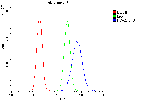 1 - Anti-Hsp27/HSPB1 Antibody Picoband™ (monoclonal, 3H3) ABO14869
