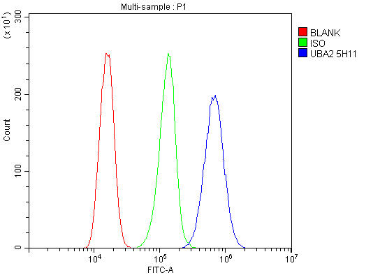 1 - Anti-SAE2/UBA2 Antibody Picoband™ (monoclonal, 5H11) ABO14870