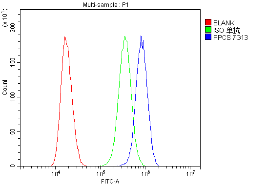 1 - Anti-PPCS Antibody Picoband™ (monoclonal, 7G13) ABO14871