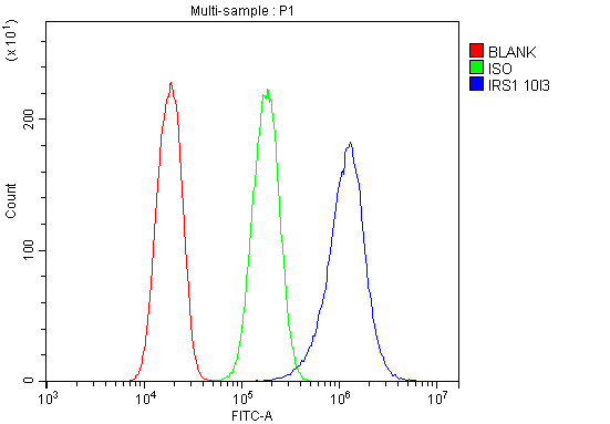 1 - Anti-IRS1 Antibody Picoband™ (monoclonal, 10I3) ABO14872
