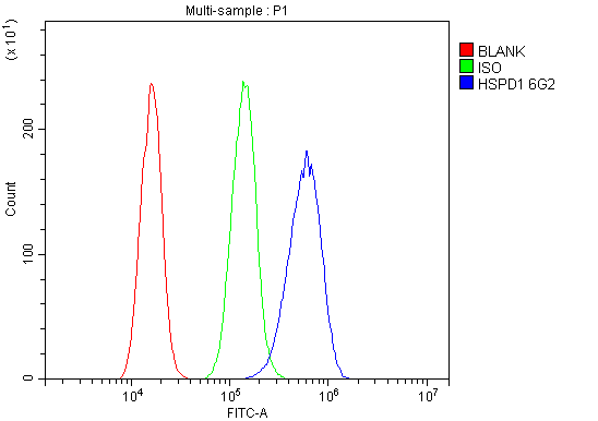 1 - Anti-Hsp60/HSPD1 Antibody Picoband™ (monoclonal, 6G2) ABO14873