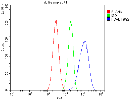 1 - Anti-Hsp60/HSPD1 Antibody Picoband™ (monoclonal, 6G2) ABO14873