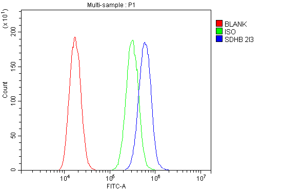 1 - Anti-SDHB Antibody Picoband™ (monoclonal, 2I3) ABO14874