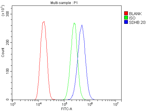 1 - Anti-SDHB Antibody Picoband™ (monoclonal, 2I3) ABO14874