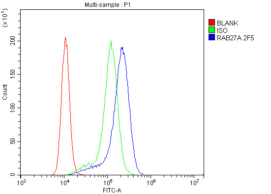 1 - Anti-RAB27A Antibody Picoband™ (monoclonal, 2F5) ABO14878