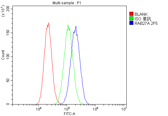 1 - Anti-RAB27A Antibody Picoband™ (monoclonal, 2F5) ABO14878