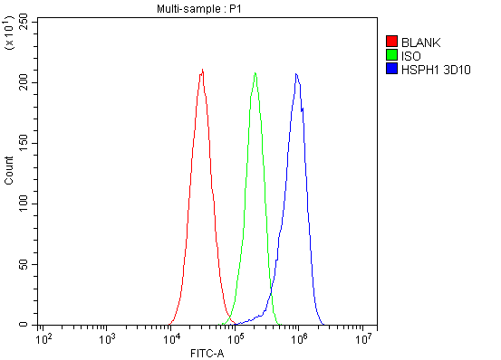 1 - Anti-Hsp105/HSPH1 Antibody Picoband™ (monoclonal, 3D10) ABO14879