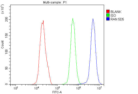 1 - Anti-Ran Antibody Picoband™ (monoclonal, 5D5) ABO14880