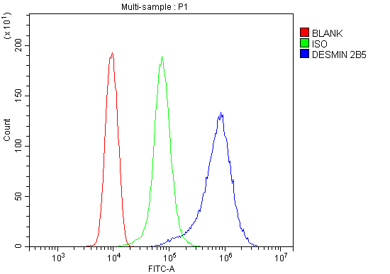1 - Anti-Desmin Antibody Picoband™ (monoclonal, 2B5) ABO14885