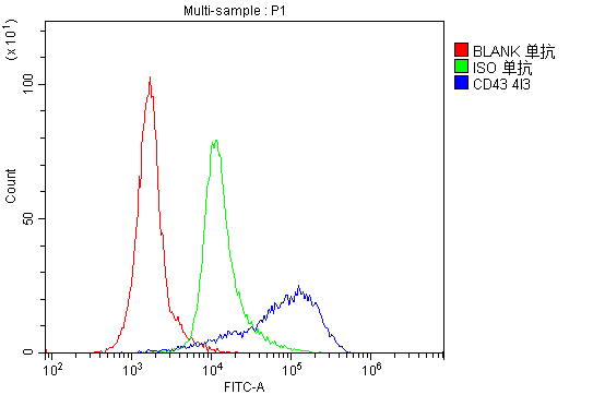 1 - Anti-CD43/SPN Antibody Picoband™ (monoclonal, 4I3) ABO14886