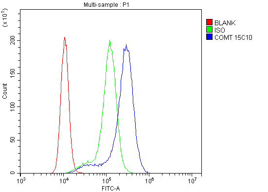 1 - Anti-COMT Antibody Picoband™ (monoclonal, 15C10) ABO14887