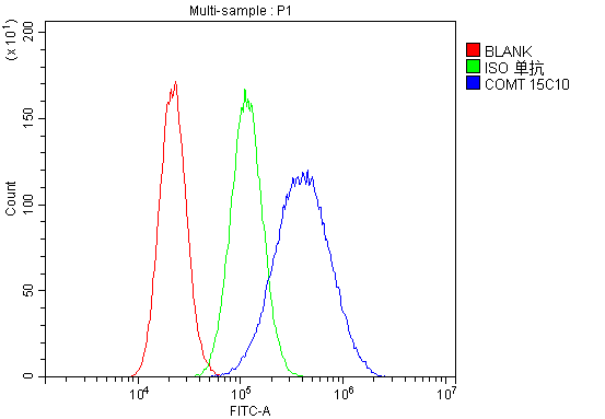 1 - Anti-COMT Antibody Picoband™ (monoclonal, 15C10) ABO14887