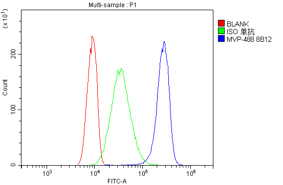 1 - Anti-MVP Antibody Picoband™ (monoclonal, 8B12) ABO14888