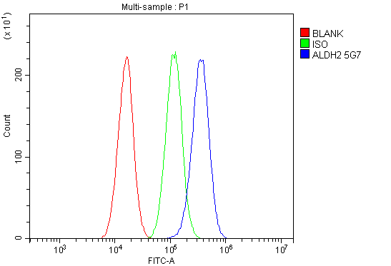 1 - Anti-ALDH2 Antibody Picoband™ (monoclonal, 5G7) ABO14889