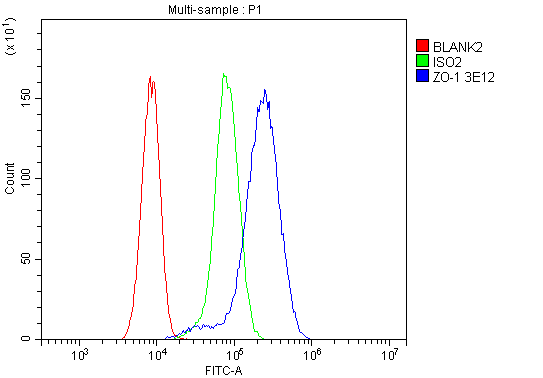 1 - Anti-TJP1 Antibody Picoband™ (monoclonal, 3E12) ABO14891