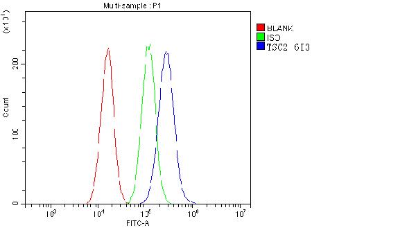 1 - Anti-Tuberin TSC2 Antibody Picoband™ (monoclonal, 6I3) ABO14893