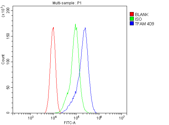 1 - Anti-mtTFA TFAM Antibody Picoband™ (monoclonal, 4D9) ABO14894