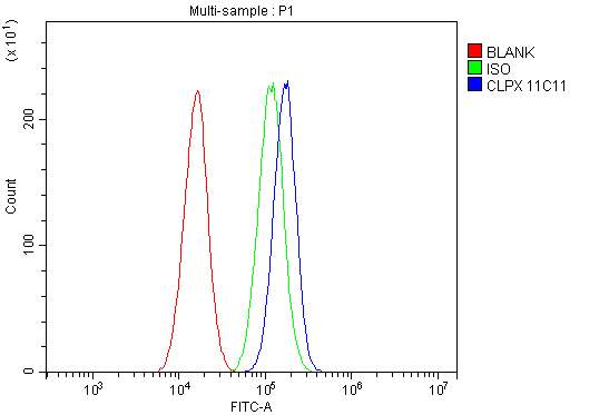 1 - Anti-CLPX Antibody Picoband™ (monoclonal, 11C11) ABO14896