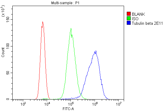 1 - Anti-Beta Tubulin TUBB Antibody Picoband™ (monoclonal, 2E11) ABO14897