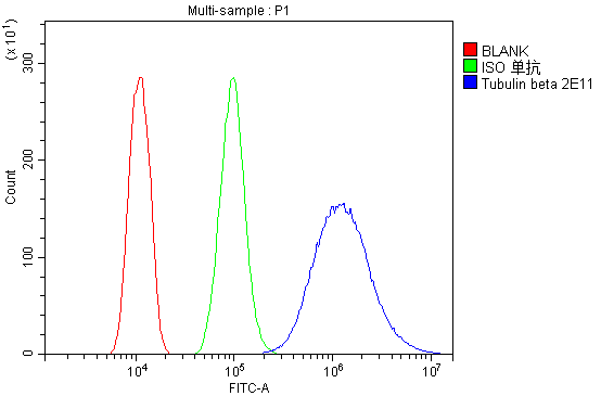 1 - Anti-Beta Tubulin TUBB Antibody Picoband™ (monoclonal, 2E11) ABO14897
