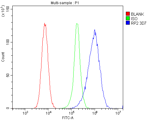1 - Anti-RP2 Antibody Picoband™ (monoclonal, 3D7) ABO14900