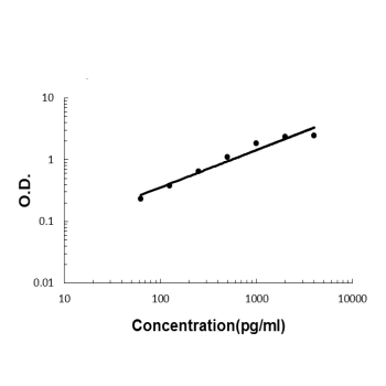 2 - Anti-IL32 Antibody Picoband™ (monoclonal, 2I2) ABO14901