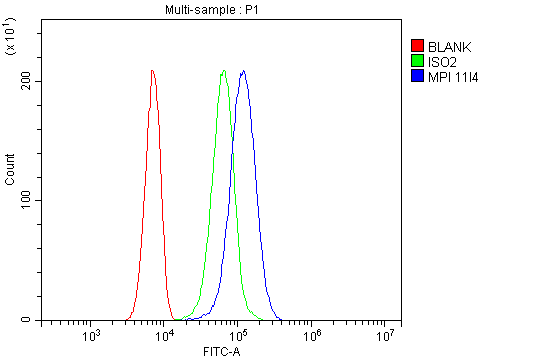 1 - Anti-MPI Antibody Picoband™ (monoclonal, 11I4) ABO14902