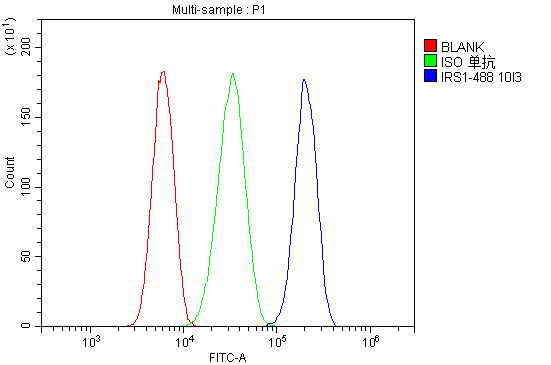 1 - Anti-Human IRS1 DyLight® 488 conjugated Antibody(monoclonal, 10I3) ABO14906