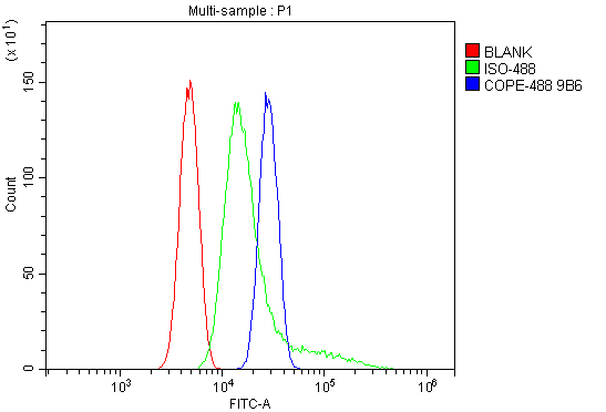 1 - Anti-Human COPE DyLight® 488 conjugated Antibody(monoclonal, 9B6) ABO14907