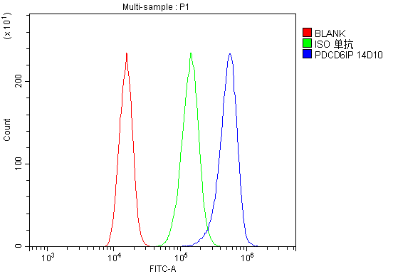 1 - Anti-ALIX/PDCD6IP Antibody Picoband™(monoclonal, 14D10) ABO14908