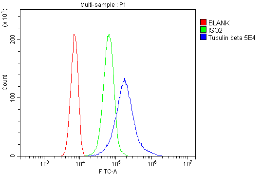 1 - Anti-Beta Tubulin Antibody Picoband™(monoclonal, 5E4) ABO14910