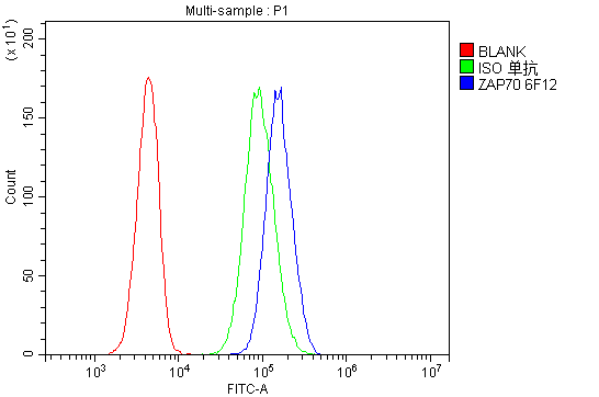 1 - Anti-ZAP70 Antibody Picoband™(monoclonal, 6F12) ABO14911