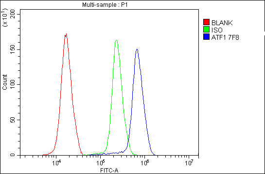1 - Anti-ATF1 Antibody Picoband™(monoclonal, 7F8) ABO14912