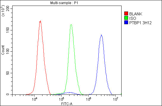 1 - Anti-PTBP1 Antibody Picoband™(monoclonal, 3H12) ABO14913