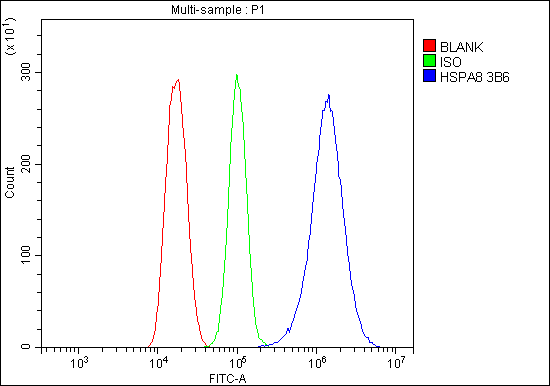 1 - Anti-Hsc70 Antibody Picoband™(monoclonal, 3B6) ABO14915